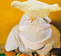 The best powerful spiritual herbalist in Nigeria+2348117855171