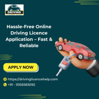 Hassle-Free Online Driving Licence Application – Fast & Reliable