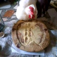 The best powerful spiritual herbalist and native doctor in Nigeria+2348075710213