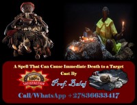 Looking for Revenge? The #1 Death Spell Caster Online – Black Magic Death Spells to Eliminate a Target Without Karma or Side Effects +27836633417