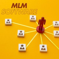 MLM Software: Turning Insights into Action