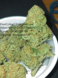 Buy marijuana weed, weed seeds, mushroom shrooms online WhtsAp: (+237) 672564181