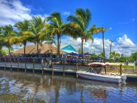 Unforgettable Boat Tours in Fort Myers – Sunset Cruises, Dolphin Tours & More