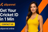 Allpanel, Allpannel, Allpaanel, www Allpaanel com, Allpannel