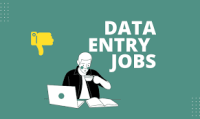 Work from Home: US Data Entry Opportunity 7708244092