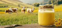 Premium Gir Cow Ghee Handmade A2 Desi Ghee from Gir Cows