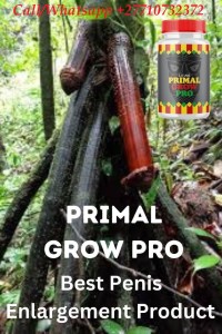 Penis Enlargement Cream In Dunmore Town Town in Harbour Island, Bahamas, The Bahamas Call +27710732372