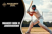 Mahadev Book ID: Complete Registration Guide and WhatsApp Support Process