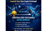 Professional CEX Development Services at Affordable Cost