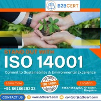 ISO 14001 Certification Services in Florida