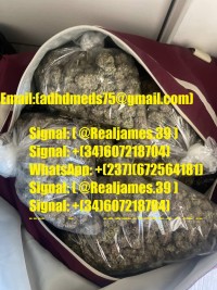 Signal: (@Realjames.39) Buy weed,Zopiclone 7.5mg Diazepam 10mg Diazepam 5mg Xanax Oxycodone Adderall in quatar,dubia