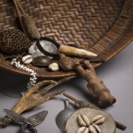 Prof Balaj Herbal Clinic